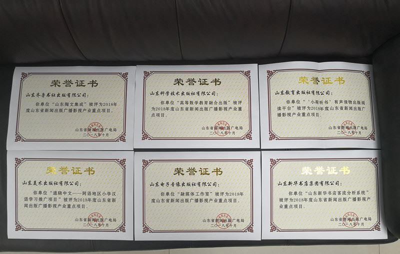 山東出版?zhèn)髅焦煞萦邢薰緝?nèi)容圖片展示